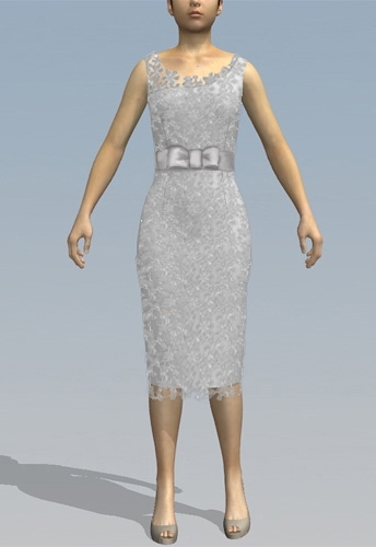 Retro Lace Dress