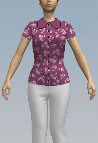 Formal blouse