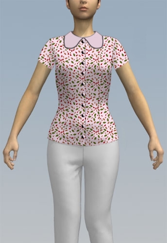 Formal blouse