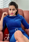 P2646 Plus Dress