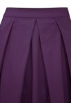 Pleated Flare Skirt