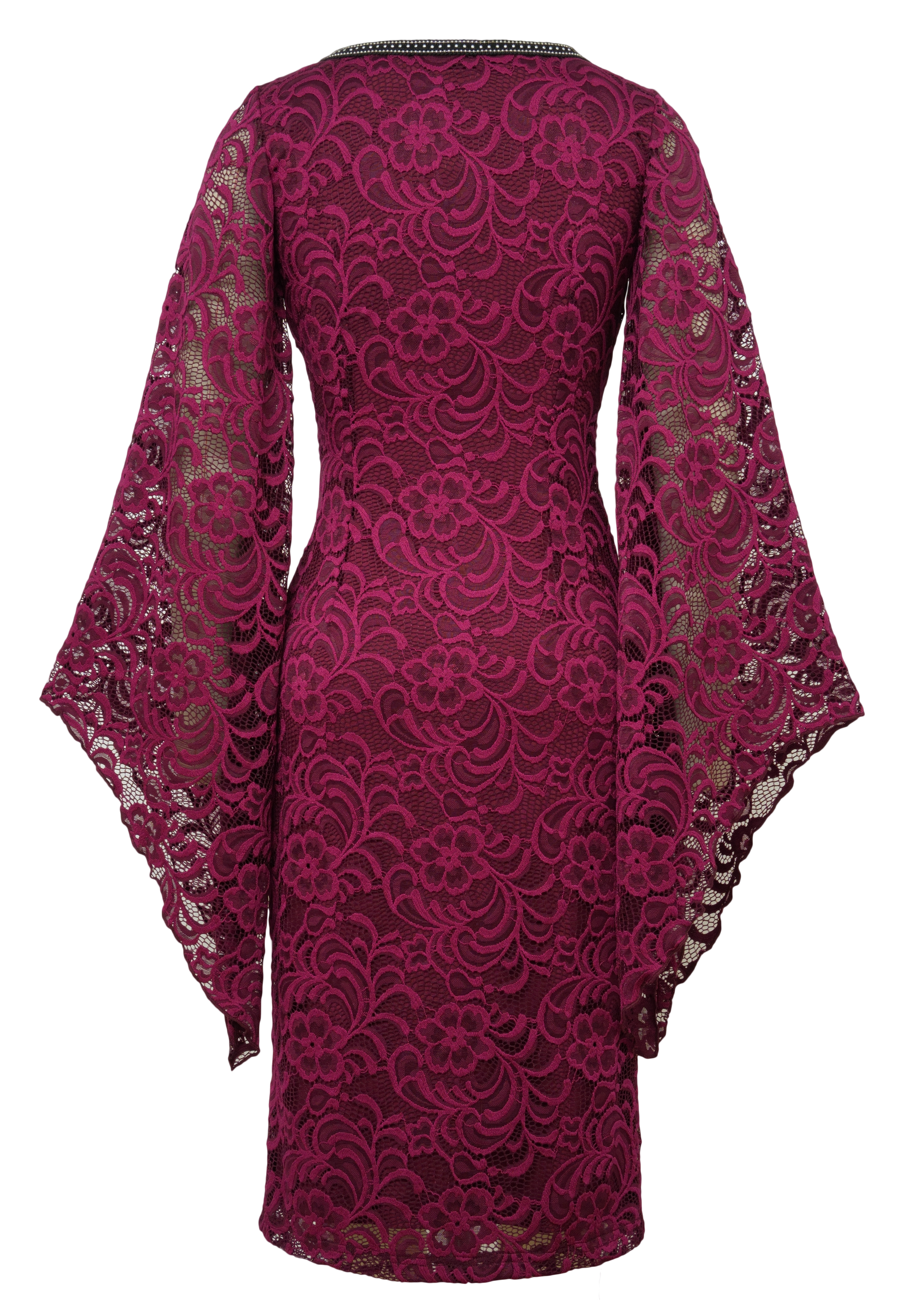 Trimed Lace Dress