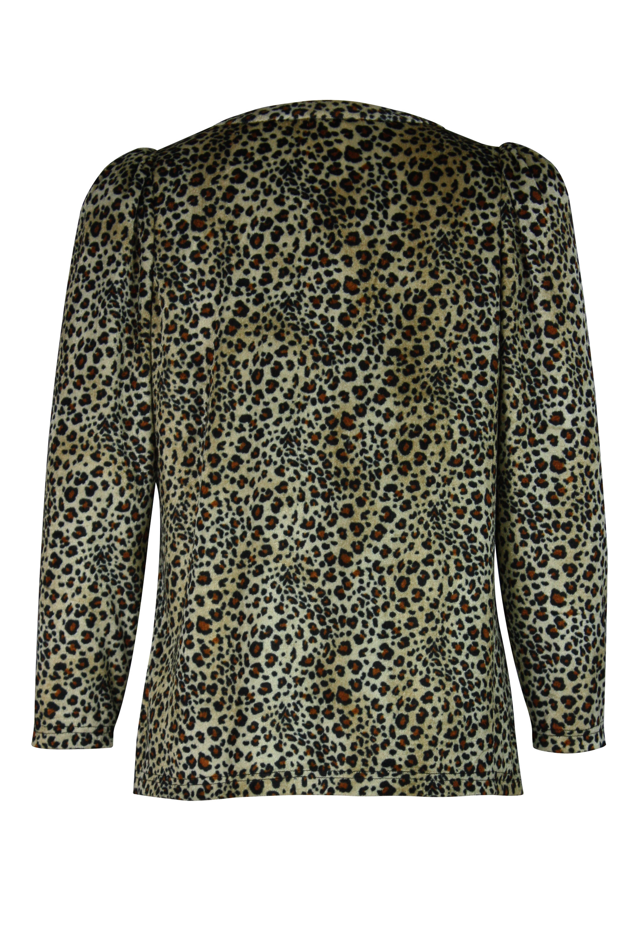 Leopard Velvet Blouse